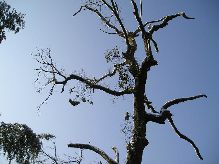 p1010176.jpg