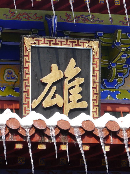 p1130082_.jpg