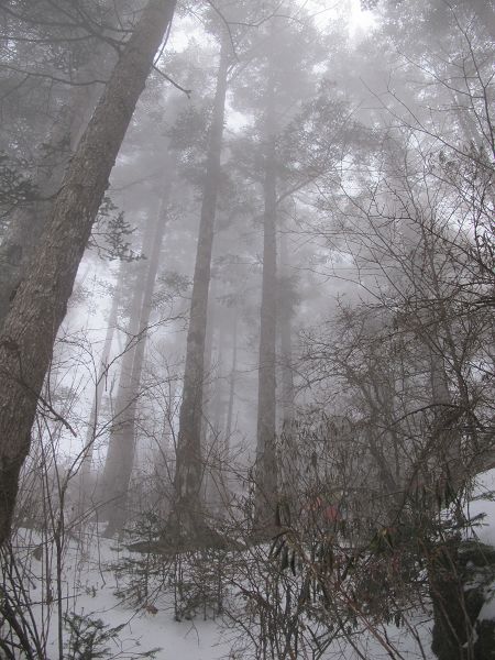 2012 085a.jpg