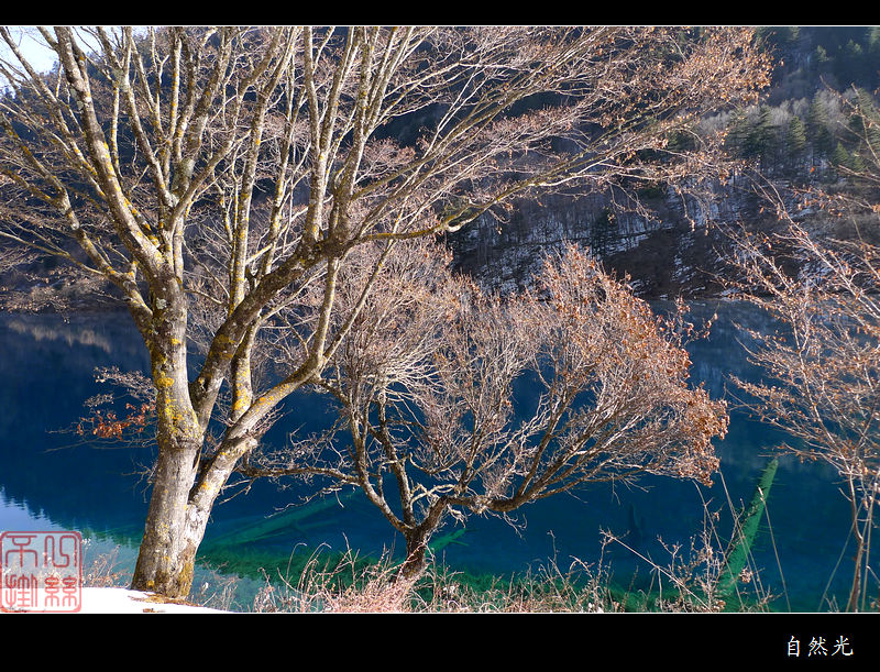 l1280778.jpg