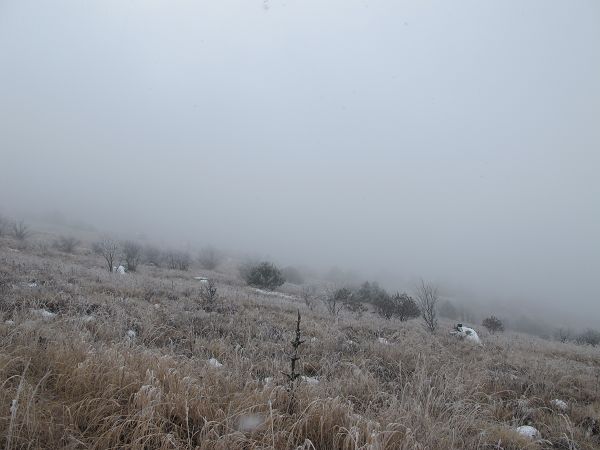 2012 098a.jpg