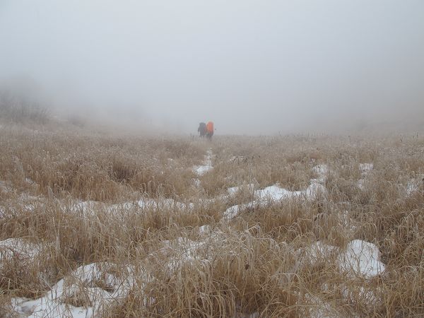 2012 139a.jpg