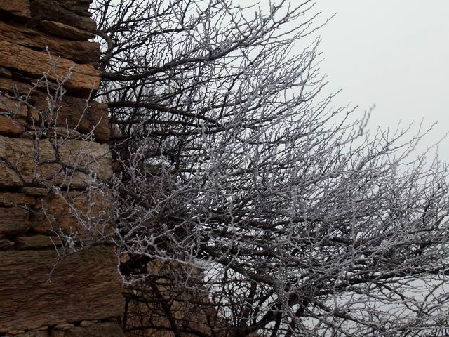 С pc265504.jpg