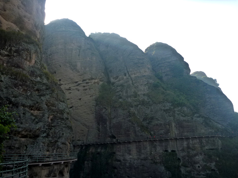 p1100267_.jpg