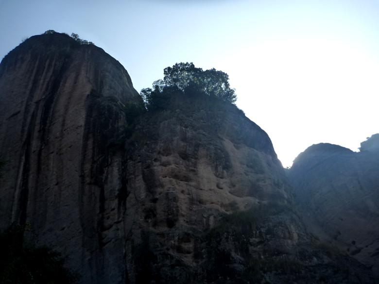 p1100265_.jpg