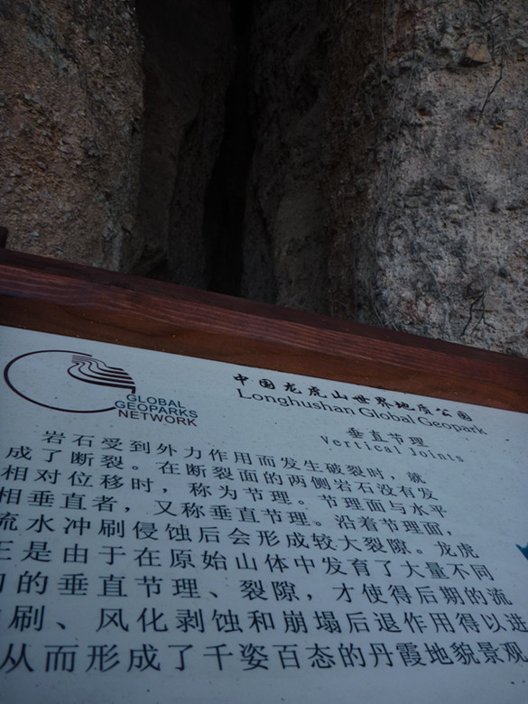p1100280_.jpg