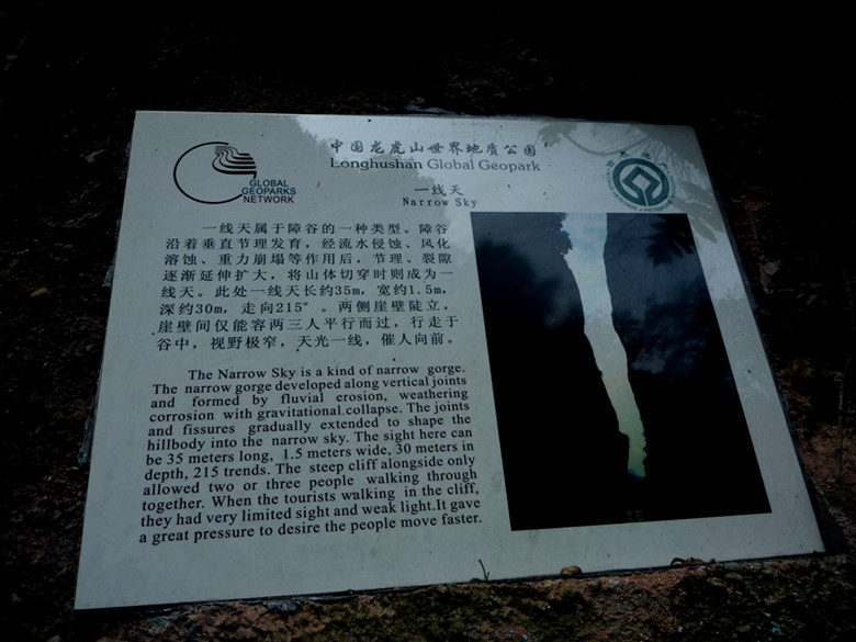 p1100291_.jpg