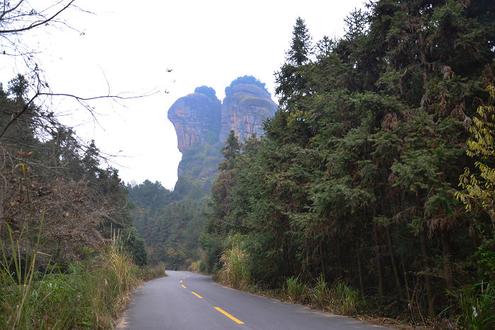 dsc_0006.jpg