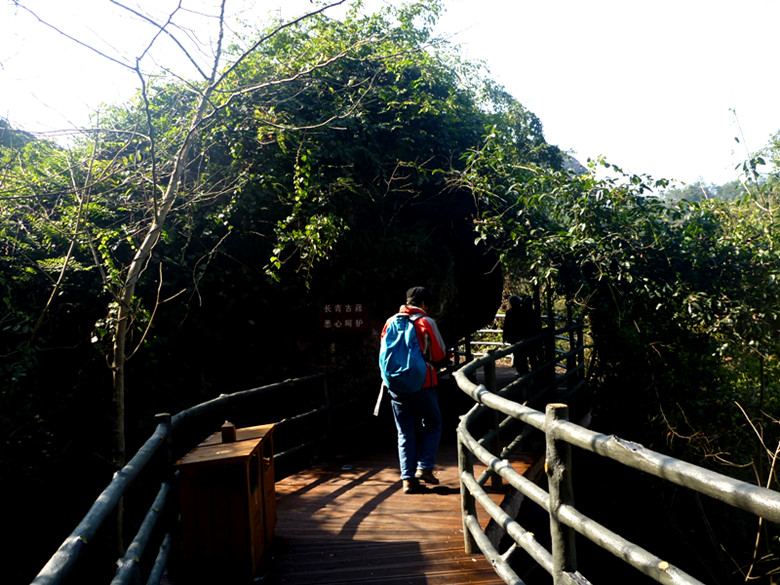 p1100295_.jpg