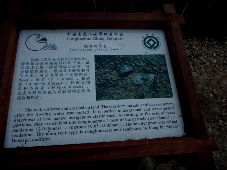 p1100311_.jpg
