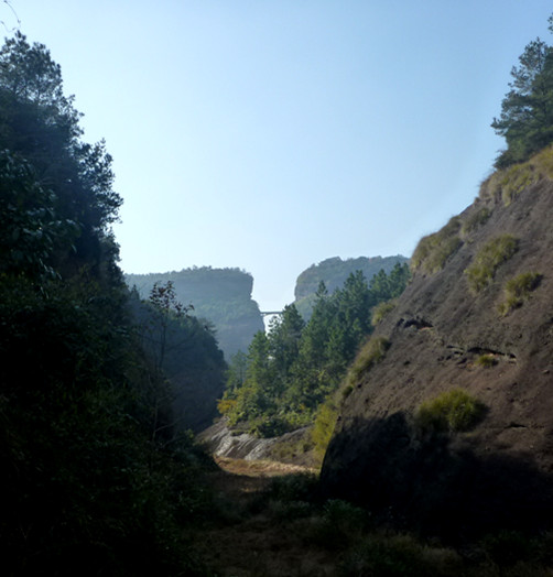 p1100325_.jpg