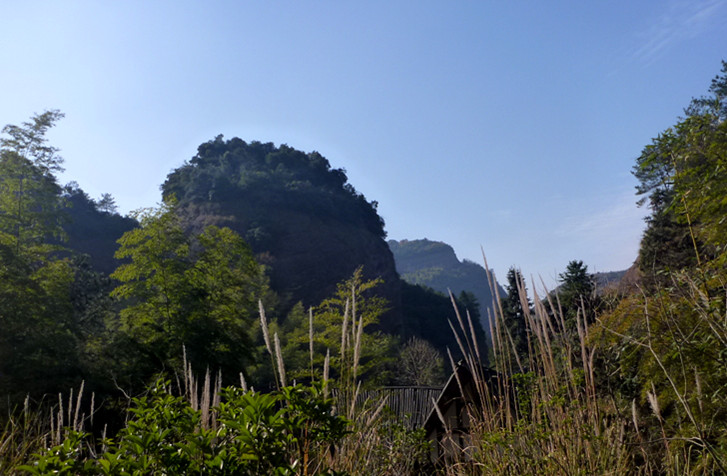 p1100326_.jpg