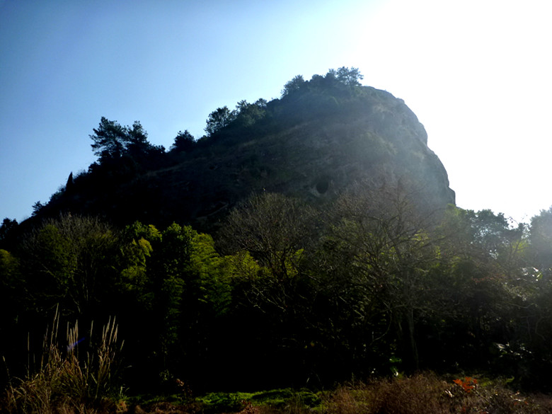 p1100335_.jpg