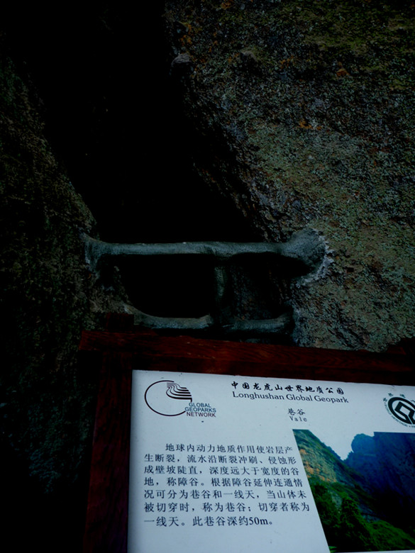 p1100272_.jpg