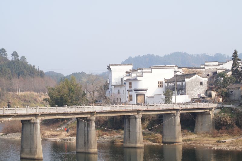 dsc00650.jpg