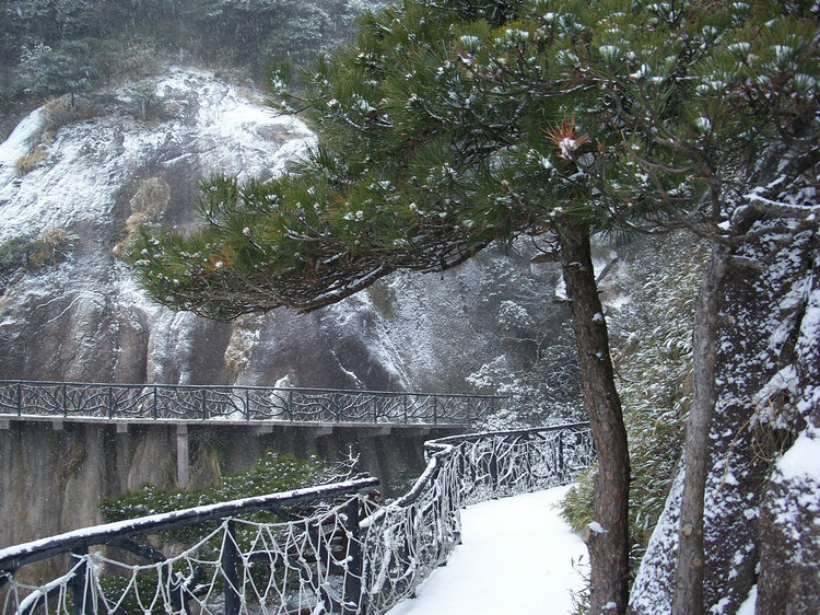 100_2097.jpg