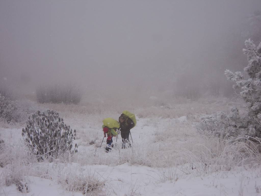 dsc04342.jpg