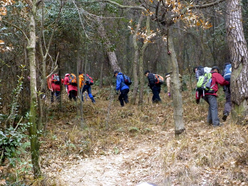 p1020626.jpg