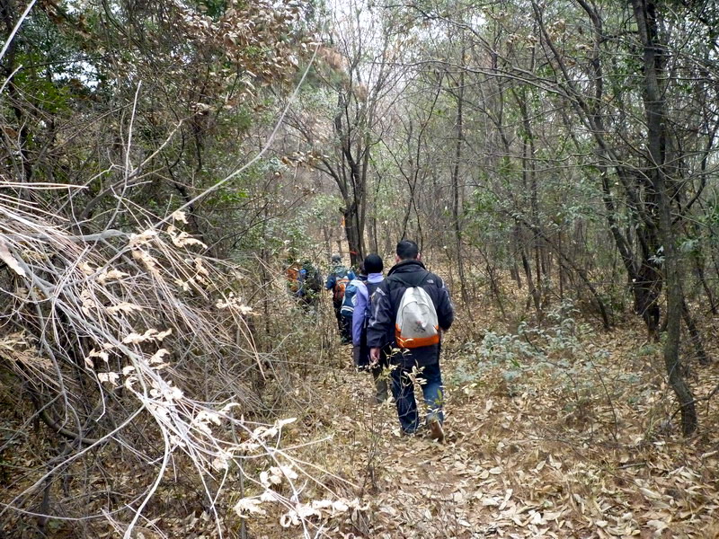 p1020632.jpg