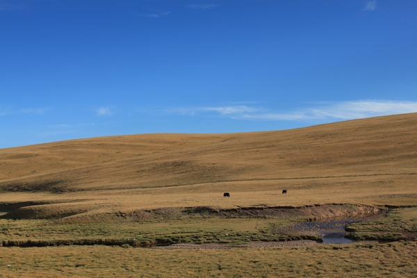 2011825916λ֮- 942.jpg