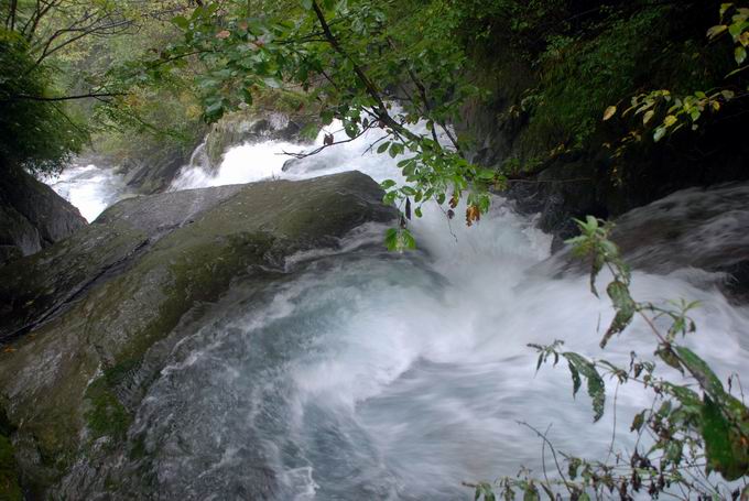 С dsc_0043.jpg
