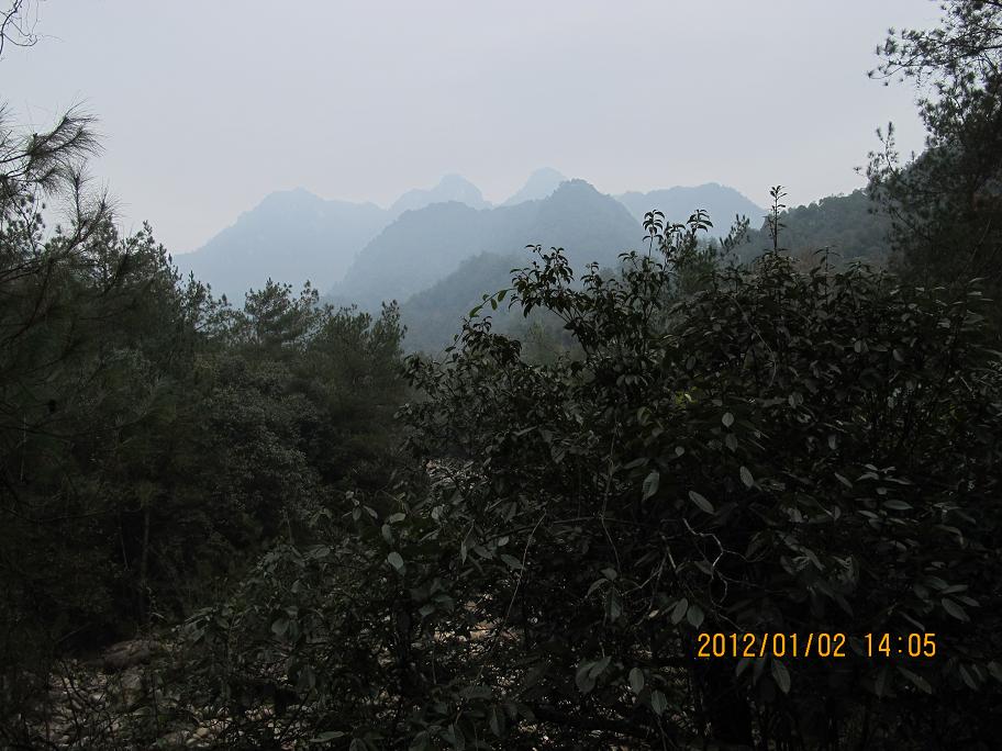 img_1620.jpg