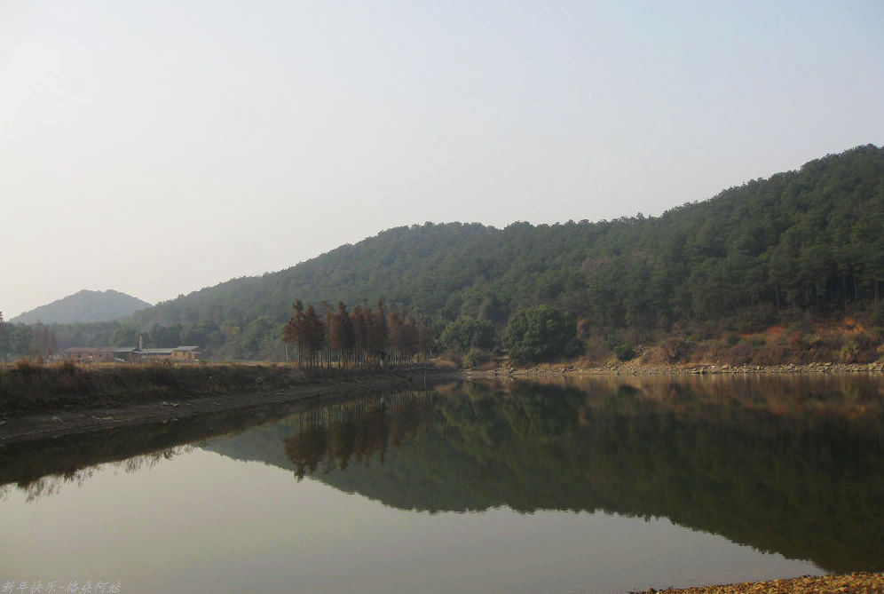 2011 102-13.jpg