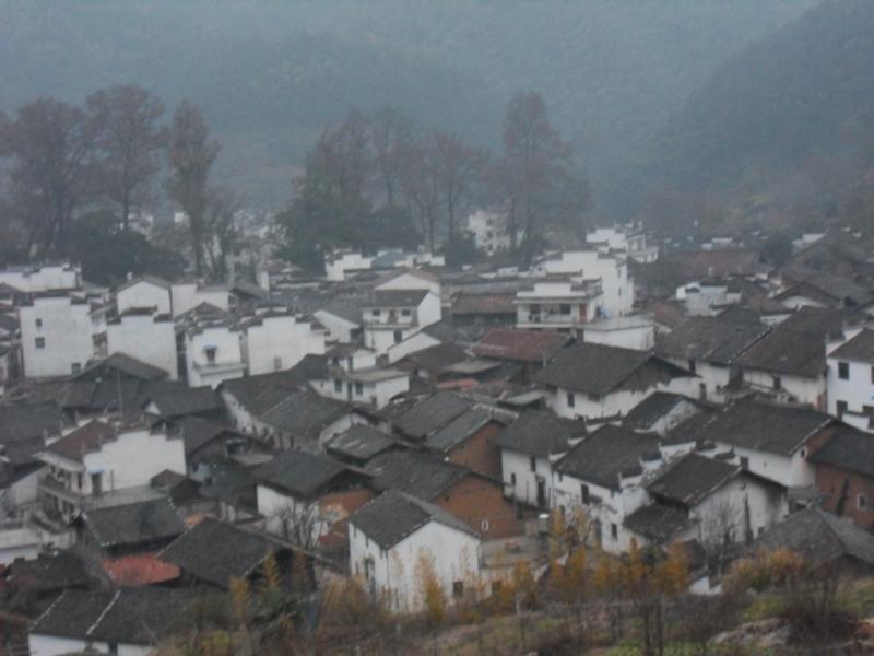 sdc11017.jpg