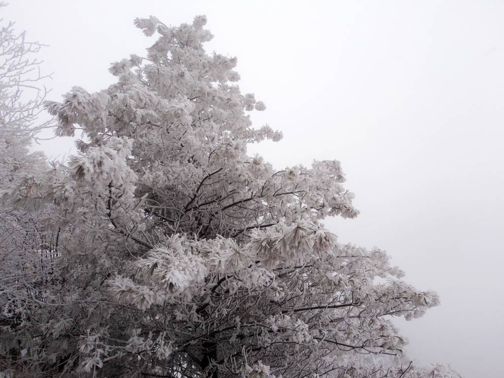 dsc04392.jpg