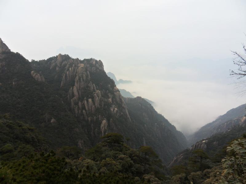 sdc10966.jpg