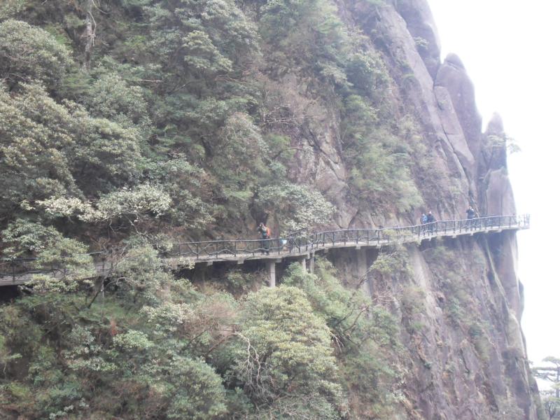 sdc10968.jpg
