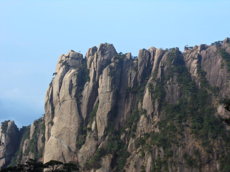 sdc10970.jpg