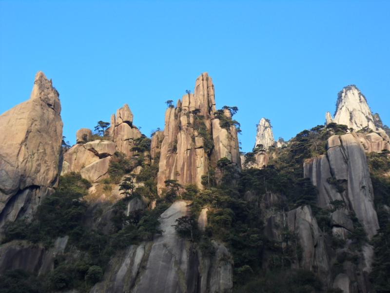 sdc10962.jpg