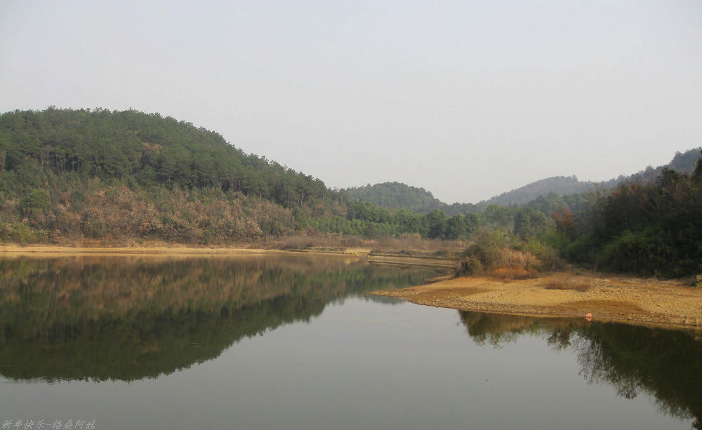 2011 100-3.jpg