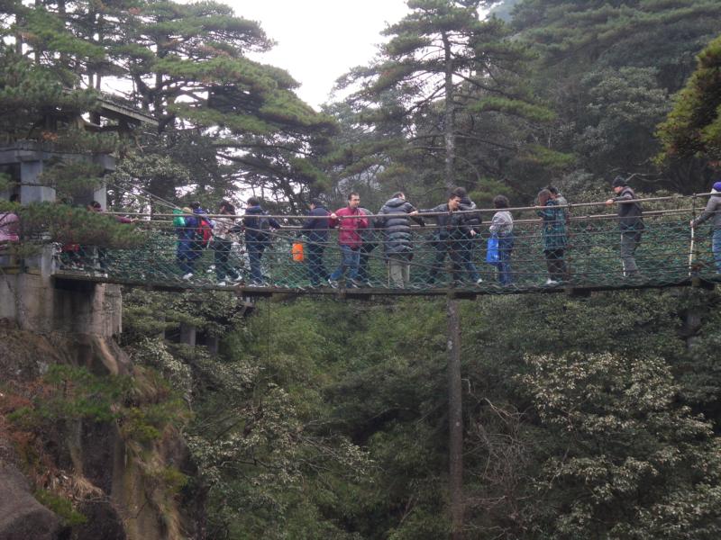 sdc10974.jpg