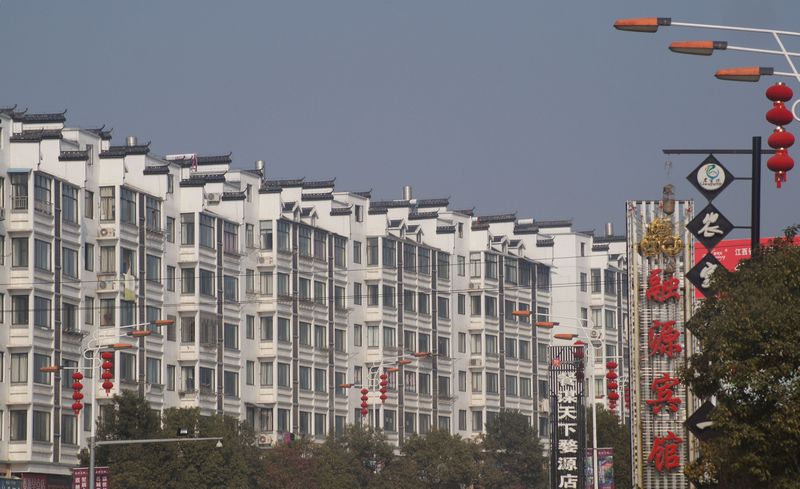 dsc00496_conew1.jpg