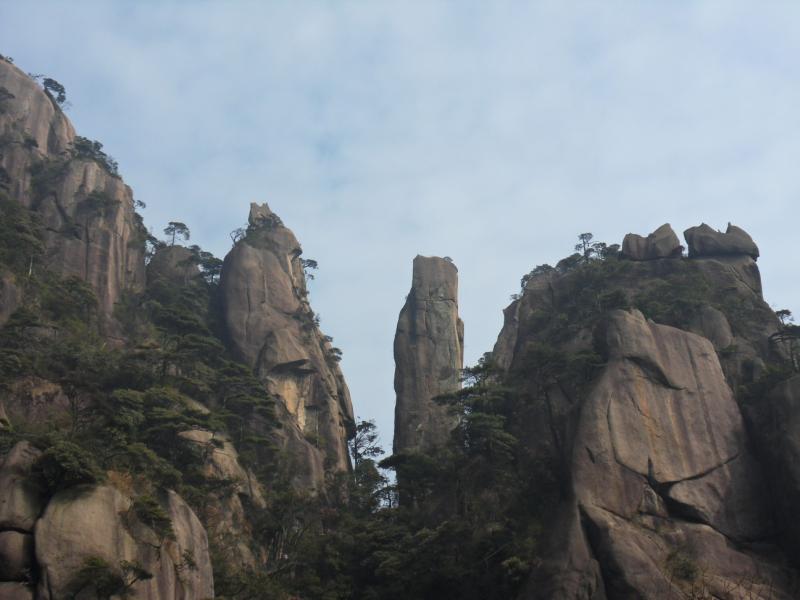 sdc10980.jpg