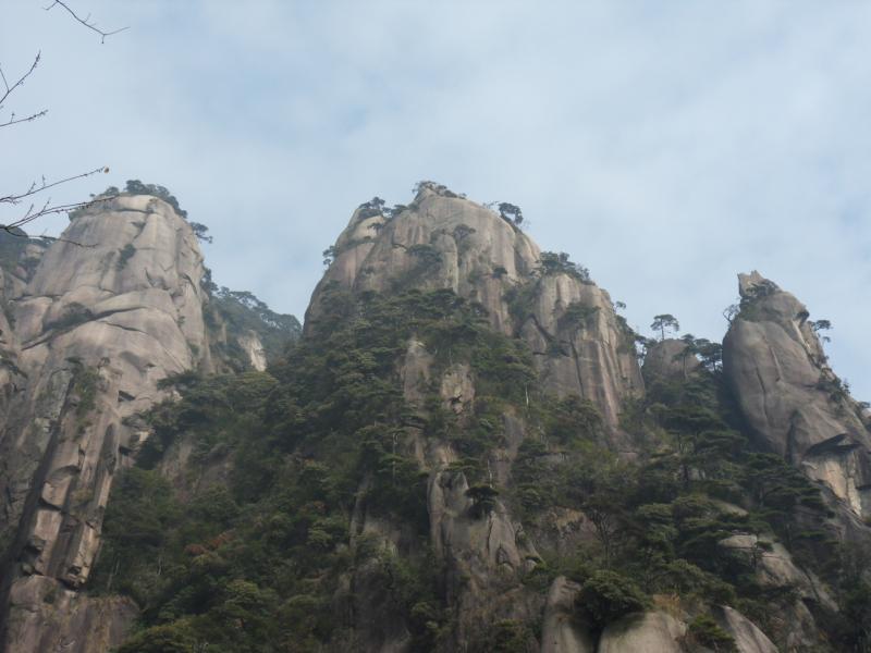 sdc10981.jpg