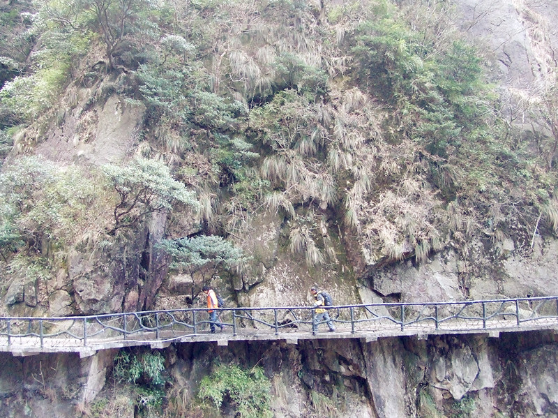 dscf0619_.jpg