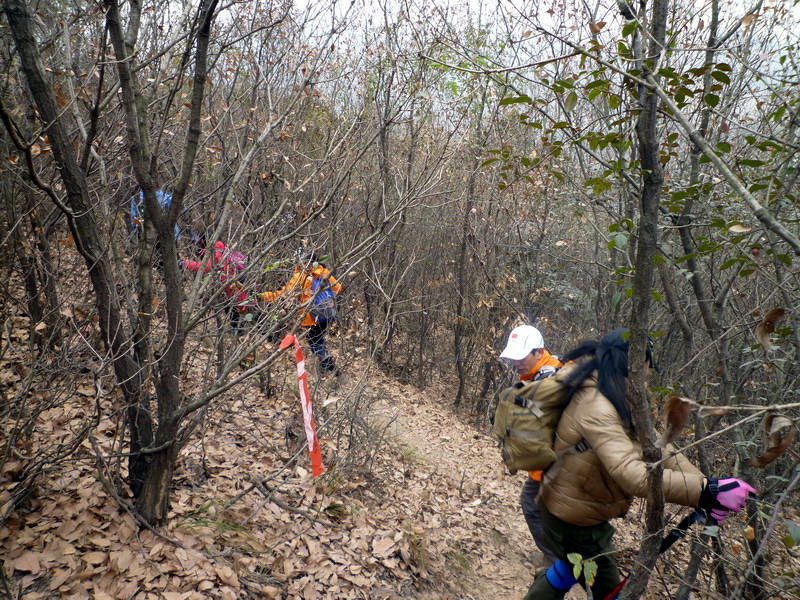 p1020679.jpg