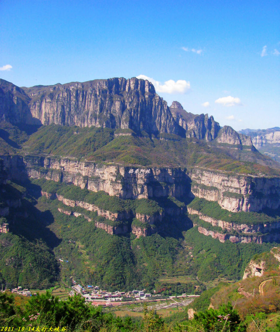 201110ʯ幵Ҷ 1200-11-.jpg