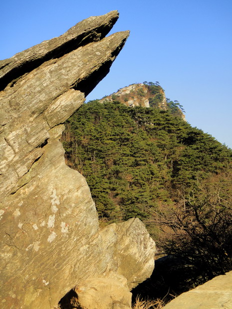 dsc01572.jpg