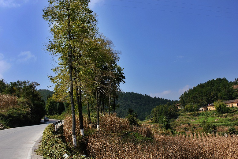 img_3670.jpg