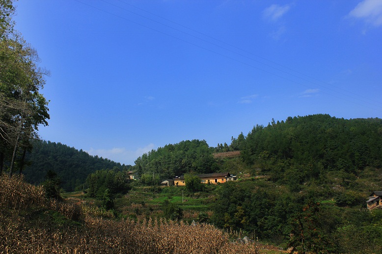 img_3673.jpg