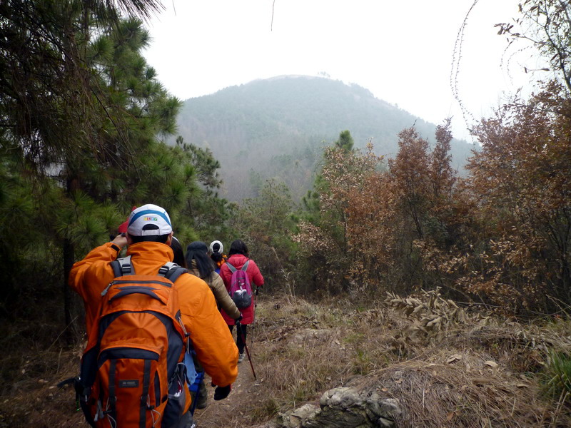p1020694.jpg
