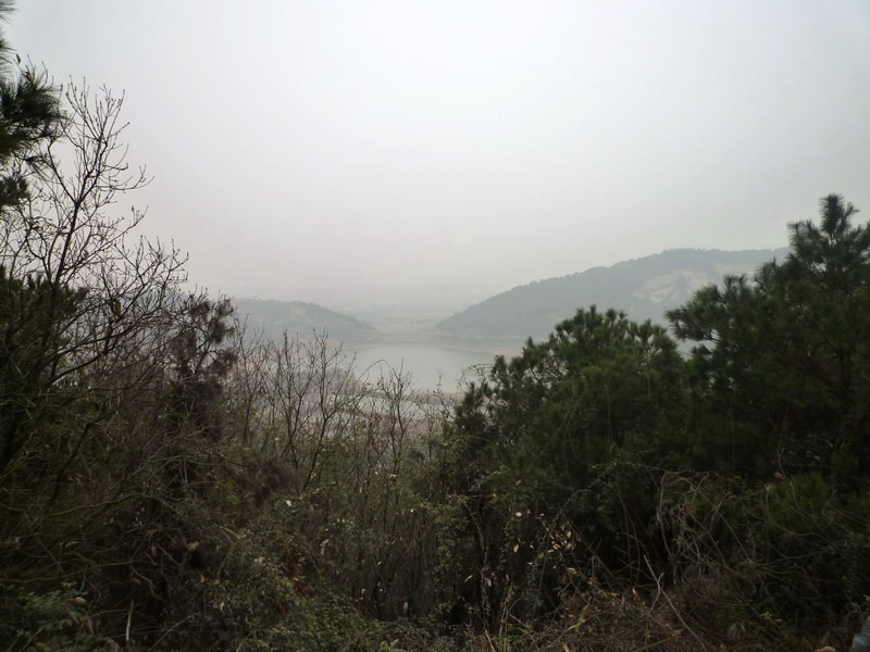 p1020688.jpg