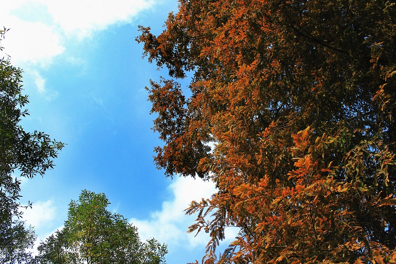 img_3696.jpg