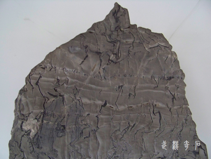 20120103s人ʯ-ʡ (18).jpg