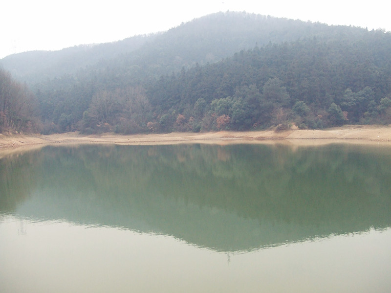 dscf0703_.jpg