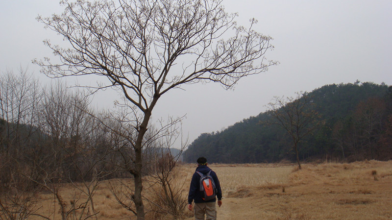 dsc03343_.jpg